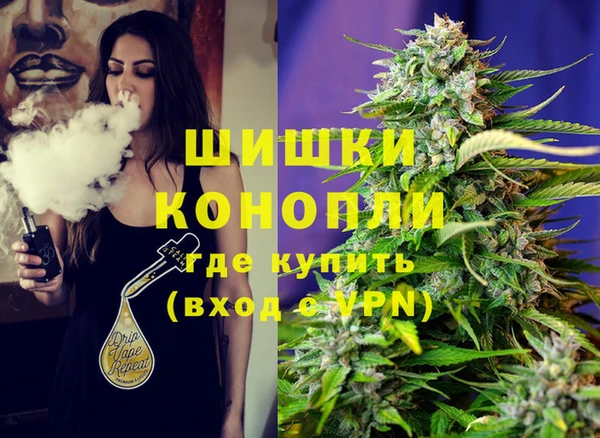 крисы Гатчина