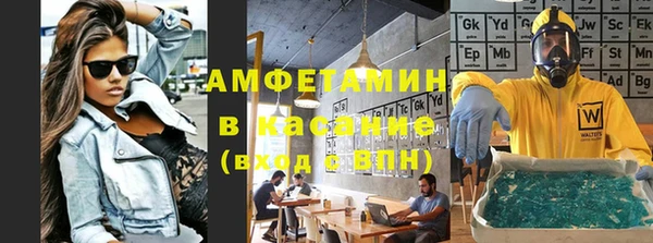 шишки Медвежьегорск