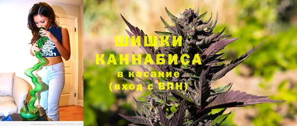 шишки Медвежьегорск