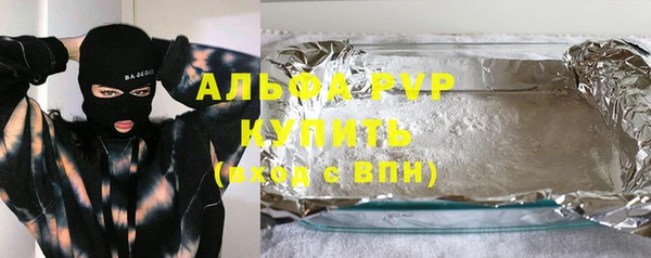 шишки Медвежьегорск