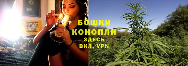 тгк Медногорск