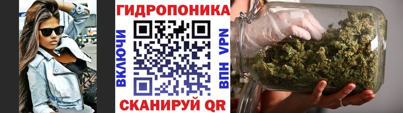 Бошки марихуана планчик  Невельск 